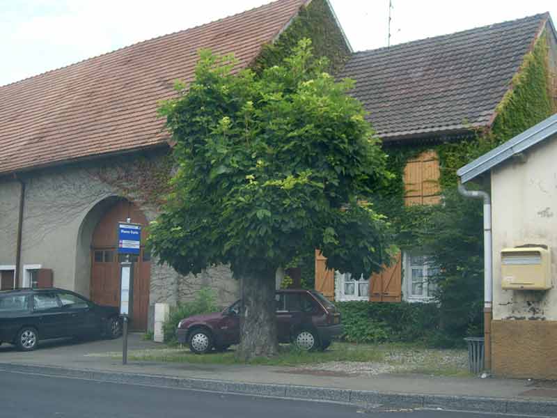25 grand charmont ancienne ferme abords mairie
